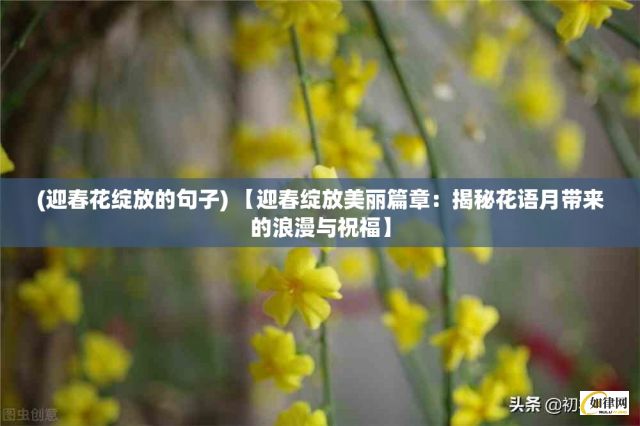 (迎春花绽放的句子) 【迎春绽放美丽篇章：揭秘花语月带来的浪漫与祝福】